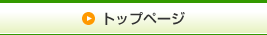 VOICEȥåץڡ