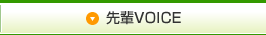 VOICE