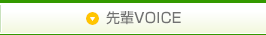 VOICE
