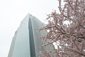 会社 東京 エレクトロン 株式