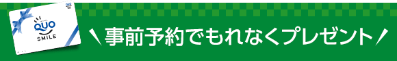 ͽǤʤץ쥼ȡ