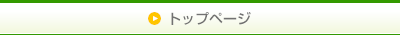 VOICEȥåץڡ