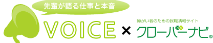 ڤŻܲVOICEߥСʥ